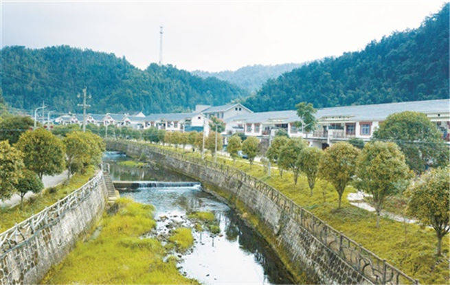 浏阳张坊镇富溪村:山水如画茶飘香