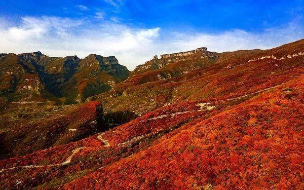 周末1日 | 层林尽染【秋韵·坡峰岭】 北京红叶观赏佳地
