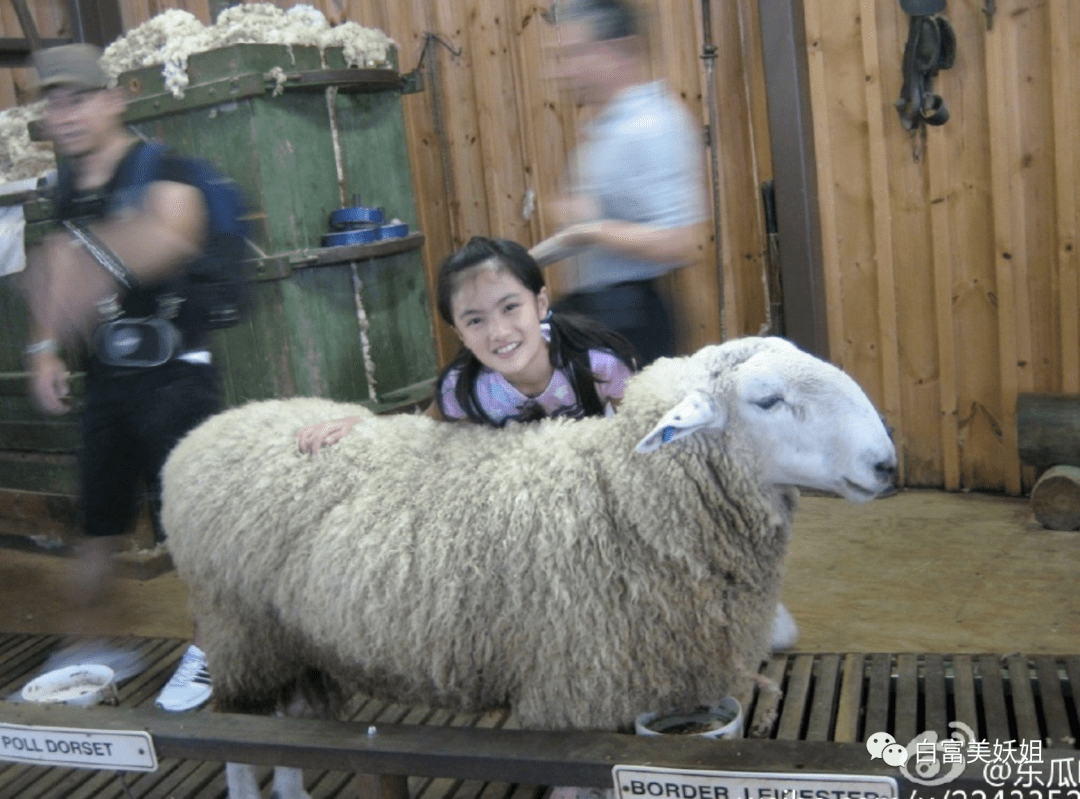 美女|红薯唯一不翻车白富美也就她了…