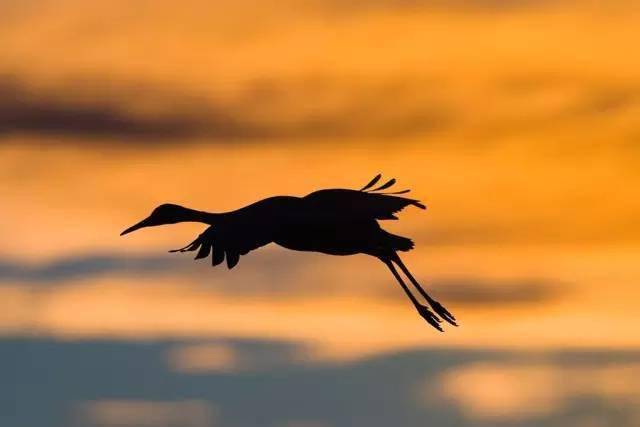 修养|成熟,是人一辈子的修养