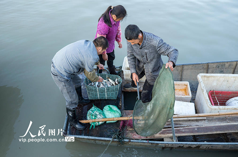江苏淮安：渔民撤离湖区 洪泽湖10年禁渔开始