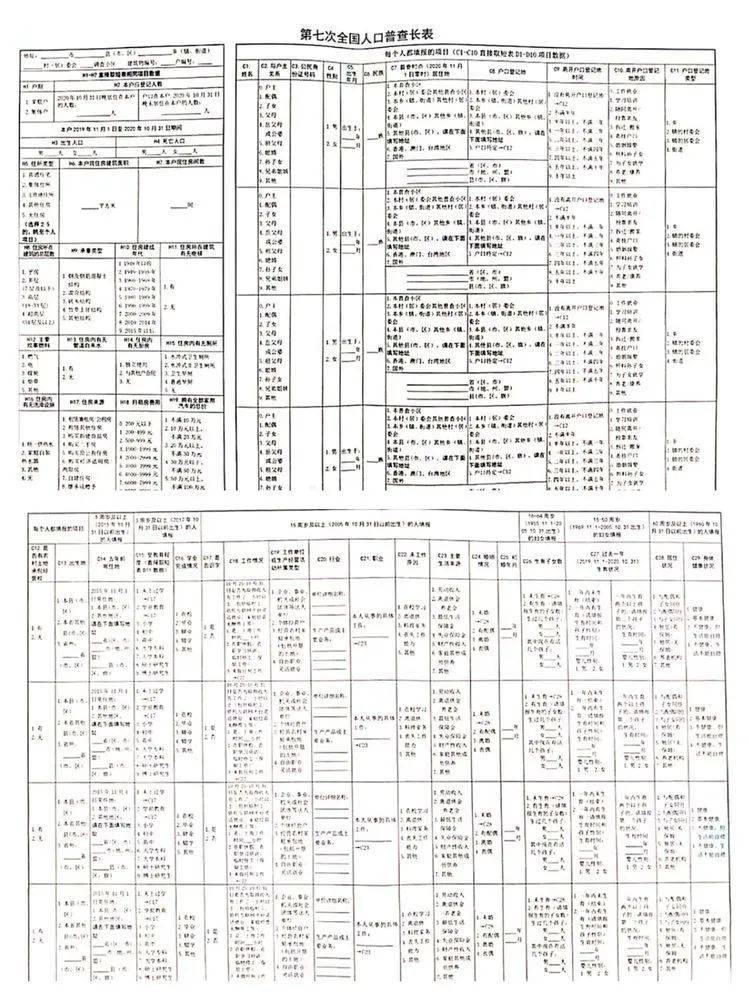 人口普查长表11月25_第七次人口普查长表