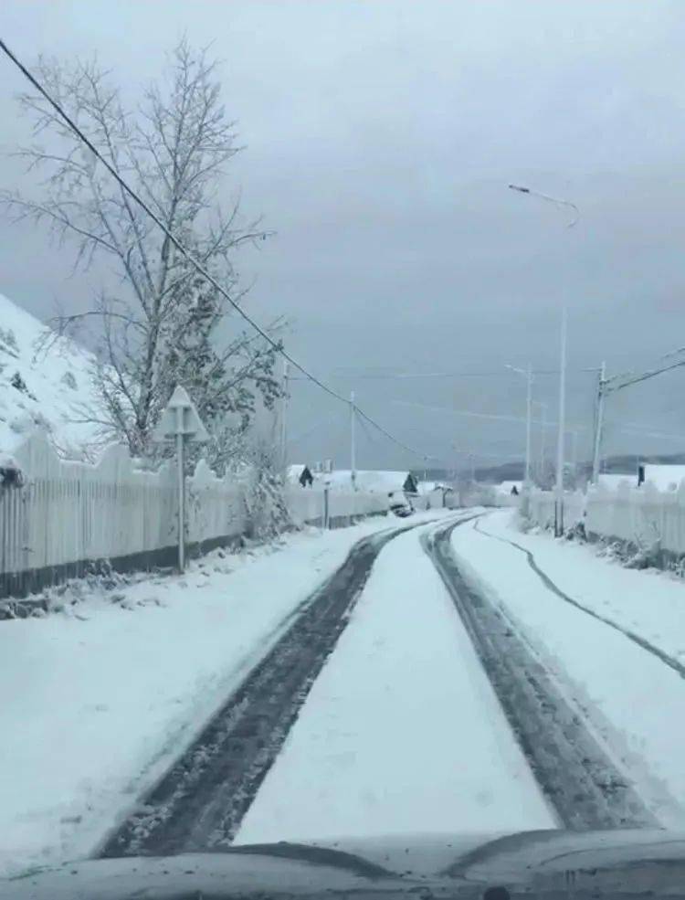 图里河下雪啦!昨夜秋风冷,今晨瑞雪飞