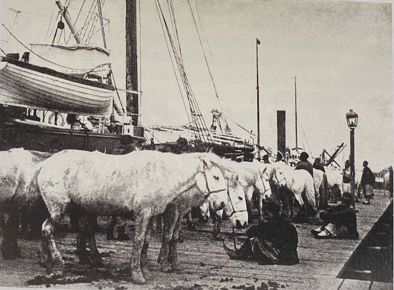 姜鸣|姜鸣︱开阔我们近代史视野的“老照片猎人”