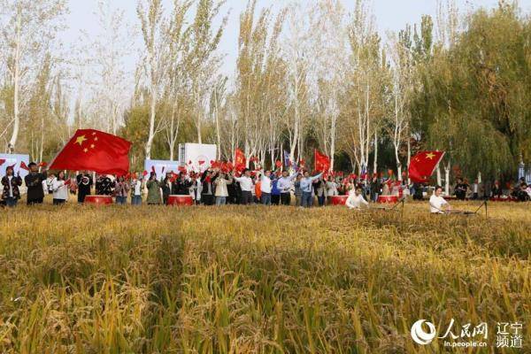 校园|沈阳建筑大学：校园里的丰收节