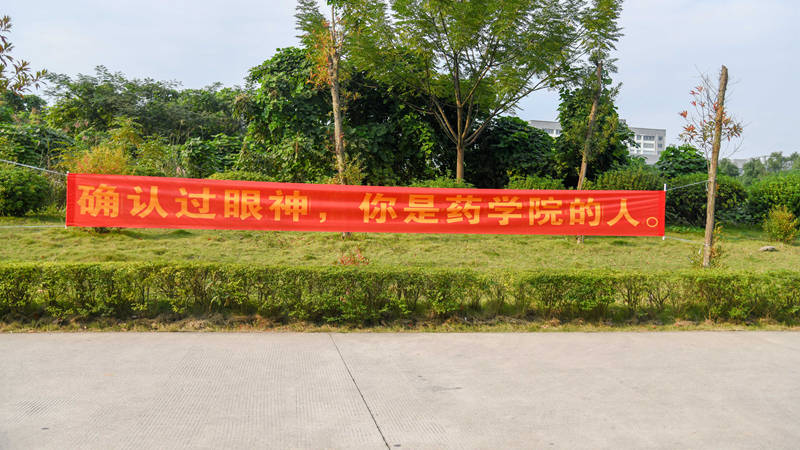 邵阳学院迎新横幅标语创意十足网络潮语鼓励新生霸气又温情