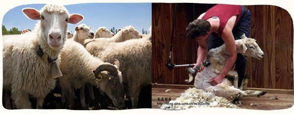 女人|懂得往脸上抹油的女人，还打个P玻尿酸！