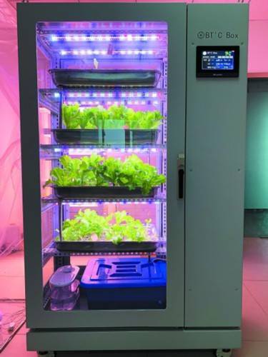 种植|白领把“田”搬进家，“一键”种菜又种花