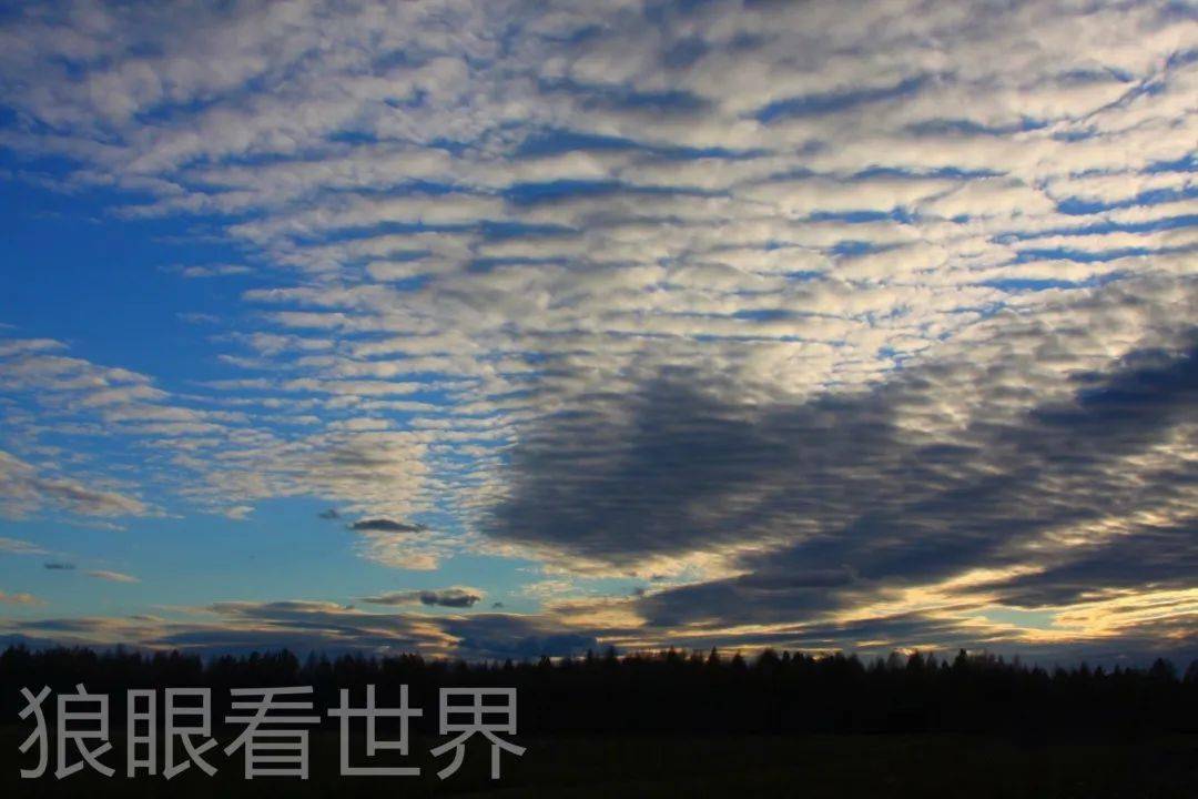 云上故乡——免费观看故乡的云短剧，建议，，云上故乡，免费欣赏故乡云景的短剧