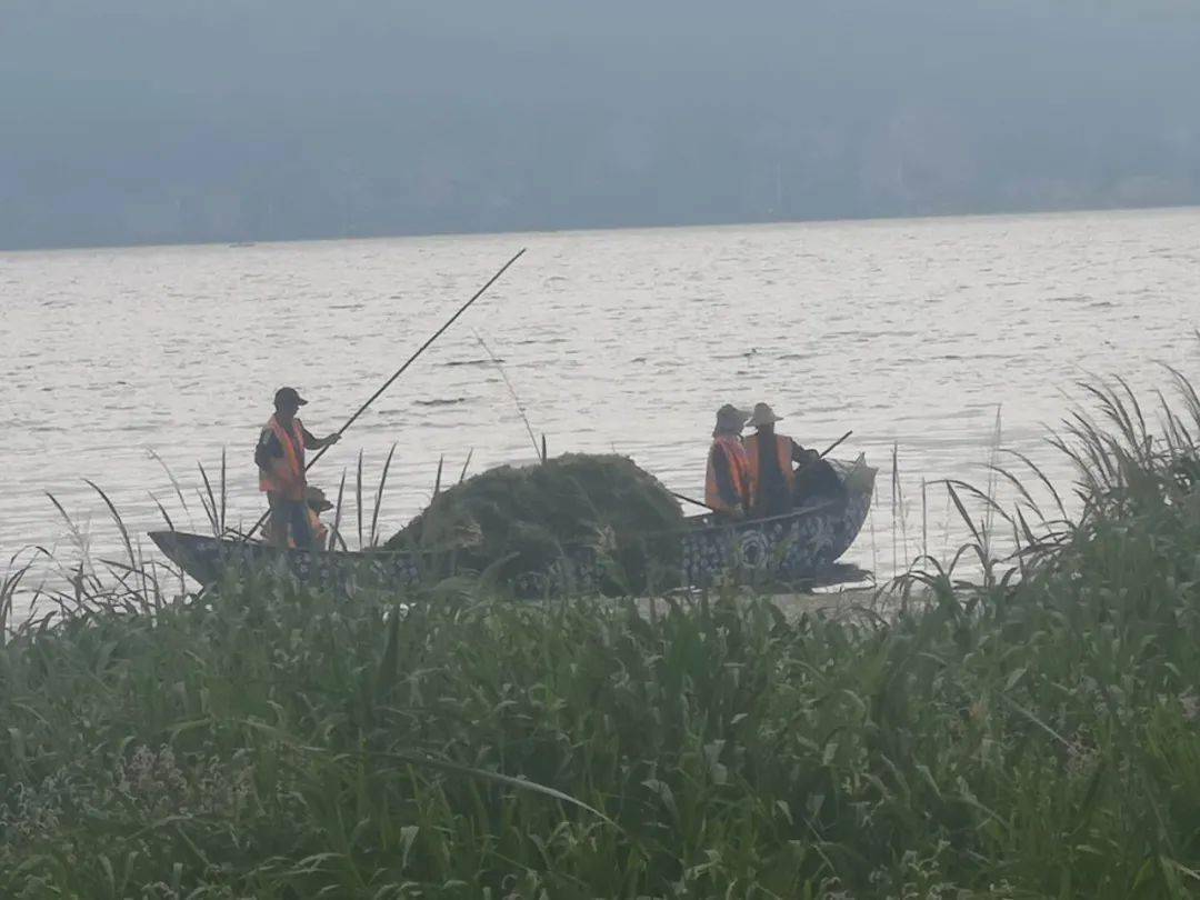 大理人口有多少人口_萧十一郎来大理 买房还是拍戏(3)