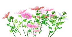 暖流似颇介,  严控各阶界, 千辛万苦杜隐患, 花开瘟神灭.