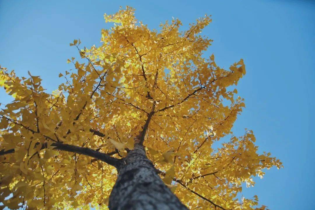 1b19a2ab6d234910af35fe33e07529de.jpeg