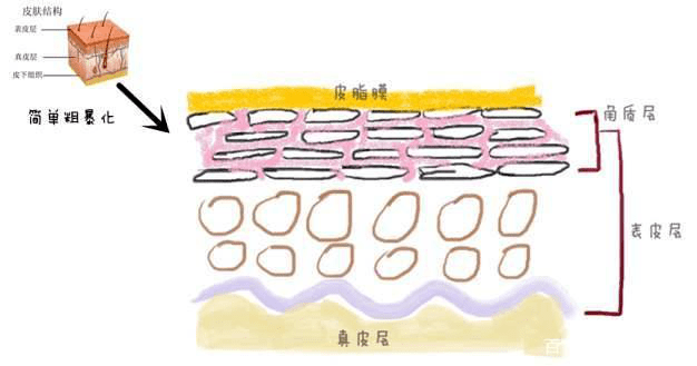 保养|萧亚轩又双叒叕上热搜了！