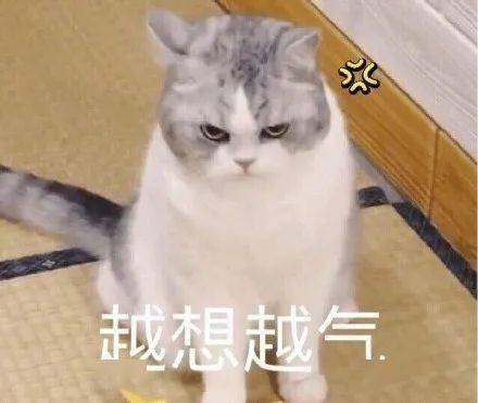 粉扑|对不起，这一次我真的要拉黑名创优品了！