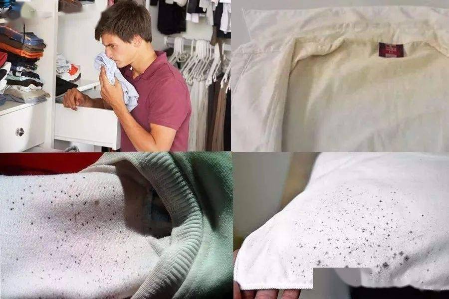 heru|堪称「心机版」衣物香水，法国黑科技留香珠，1 秒拥有高级香