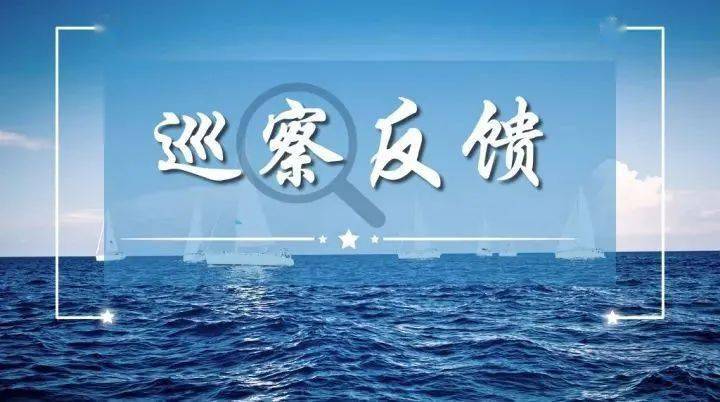 十二届高明区委第八轮巡察公布9个单位党组织巡察反馈