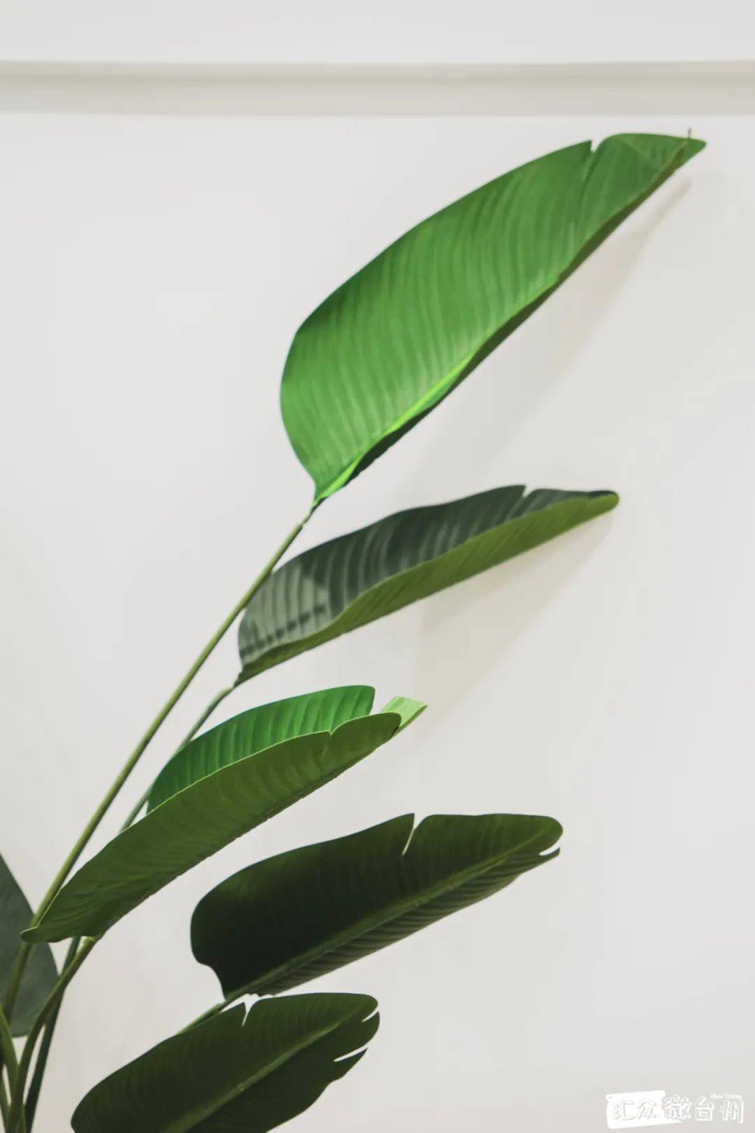 皮肤|万达惊现“明星同款”?这家轻奢神店开业不足1个月,却火遍台州贵妇圈!