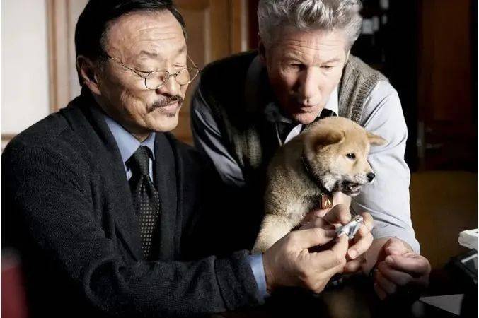 一部感人至深的电影《忠犬八公的故事》一个善举 一生守候