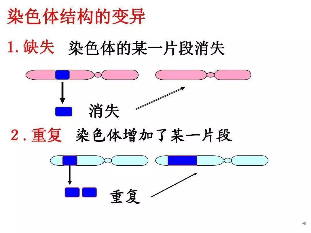 a86802df3afa4d9cadac281a7895d690.jpeg
