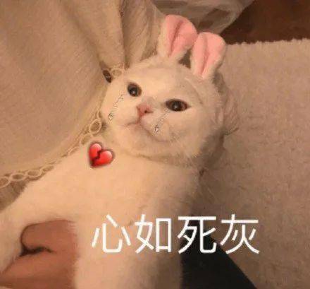 眉毛|跟着抖音学化妆的女生，到底有多惨？