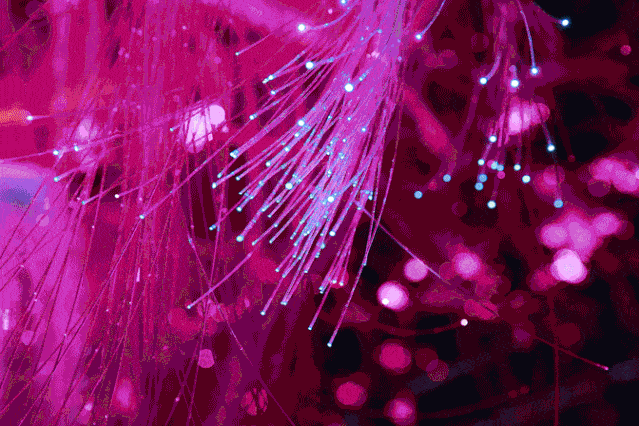 【独角兽星空艺术馆】正大广场 | 风靡抖音的『5d星空