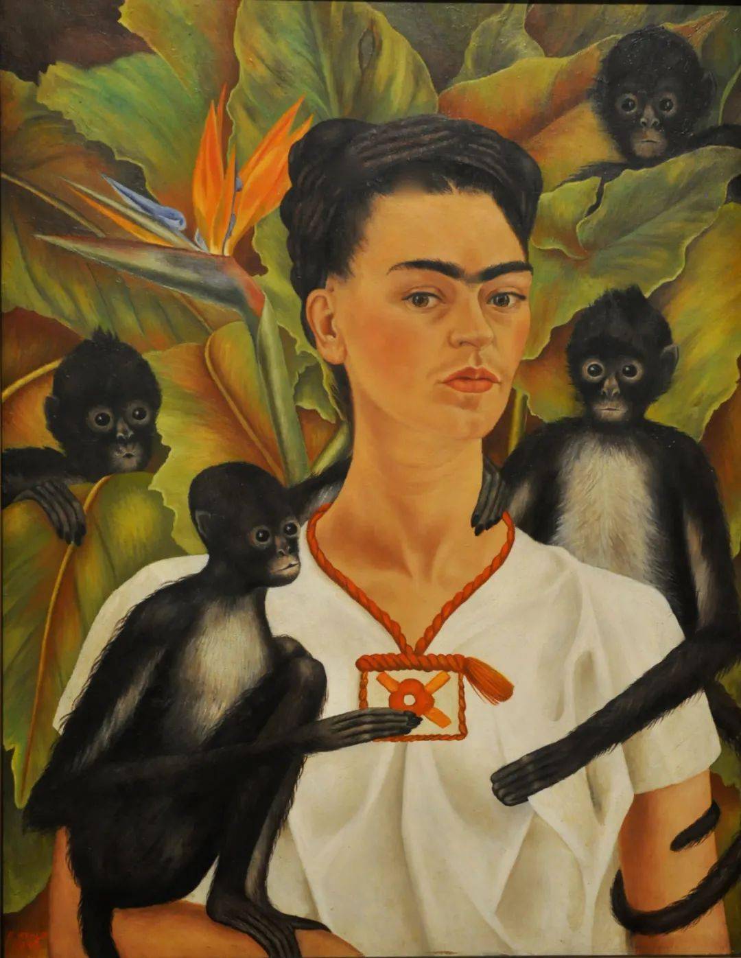 油画大师——弗里达·卡罗作品欣赏（48张高清图）_Kahlo