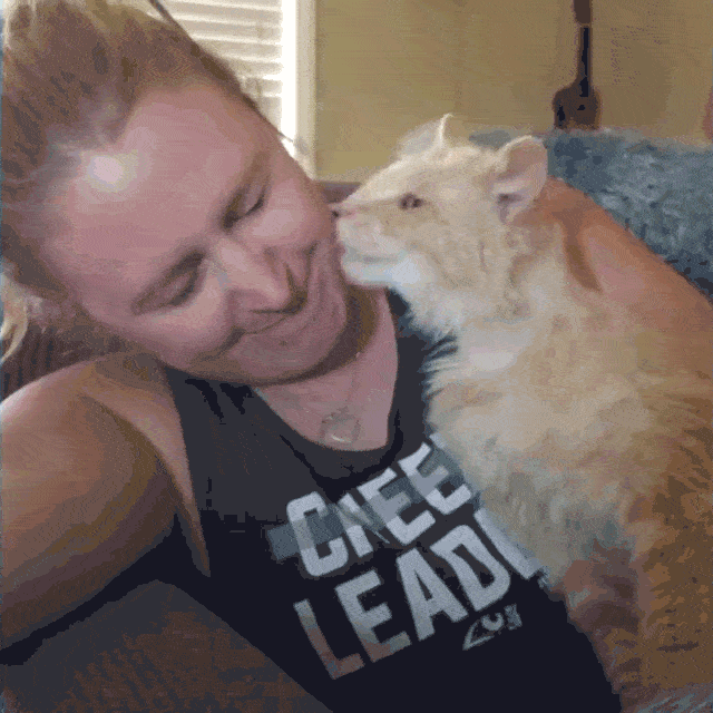 流浪猫被救后,每天对救助人花式