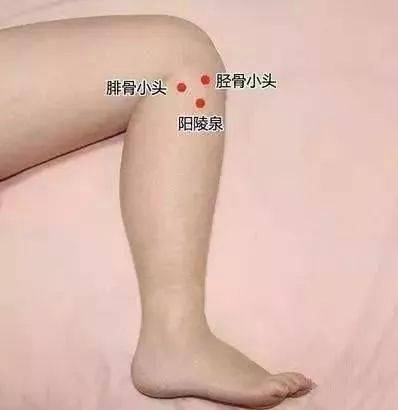 aa1a60582b4d42959d63dba61aede6fd.jpeg