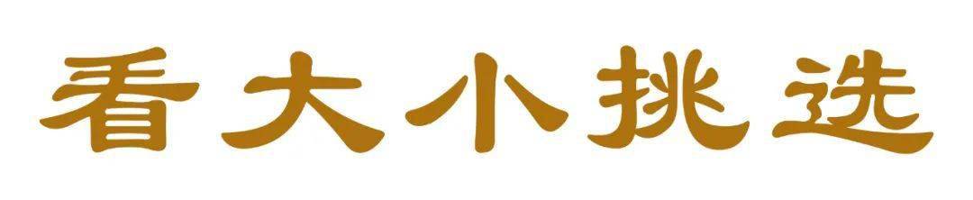 女人|百搭珍珠！女人最基本的高贵，让你气质全开！