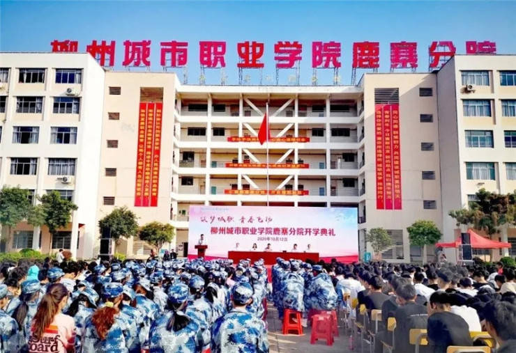 鹿寨招聘_2019年广西玉林选调生考试职位表 60人(3)