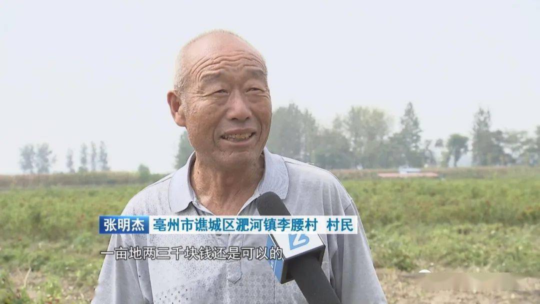 【决战决胜脱贫攻坚·扶贫印记】亳州市谯城区李腰村:产业 就业 铺实