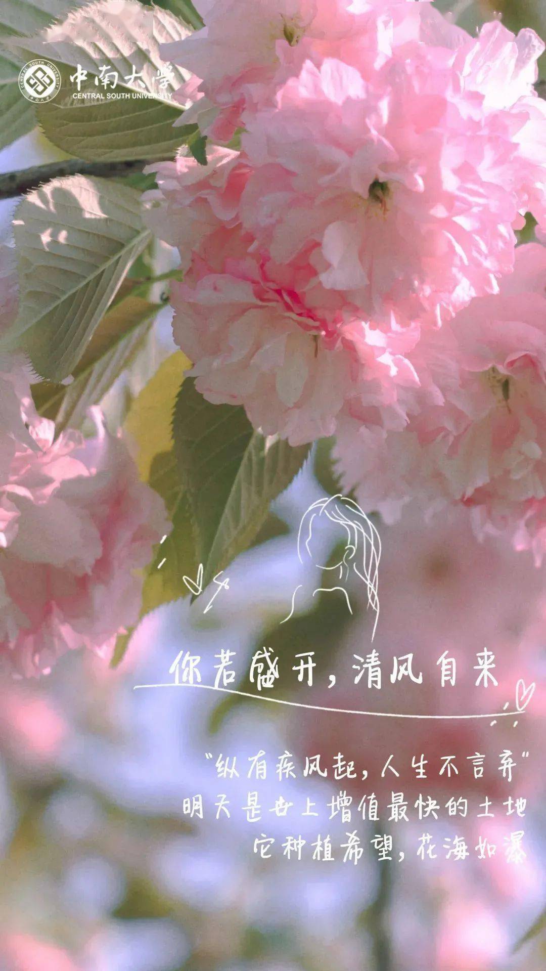 公众|终于被做成手机壁纸了!【理想大学】你的理想大学