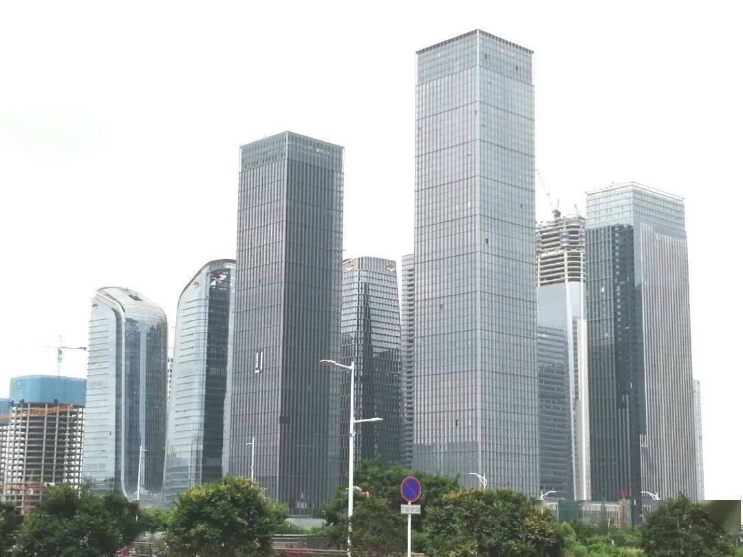 深圳经济总量亚洲前5说明什么_深圳华强北经济大厦(3)