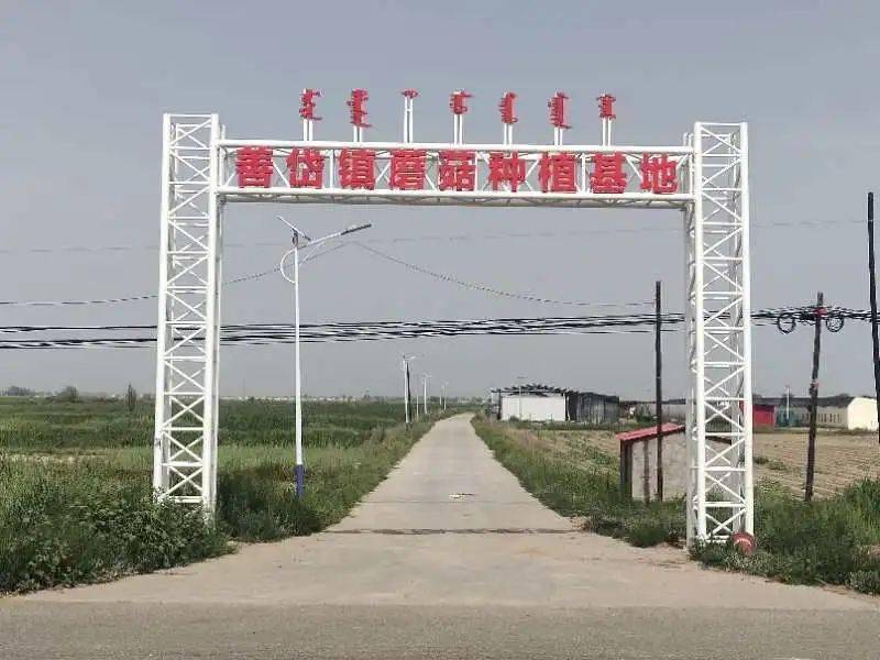 呼和浩特市土默特左旗善岱镇善岱村的蘑菇种植基地,是善岱镇的扶贫