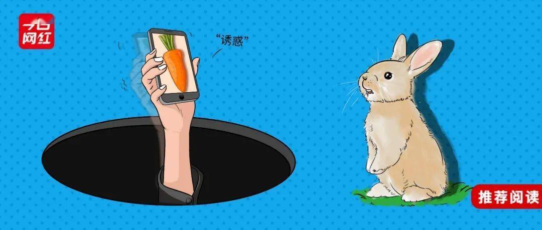 盘点|除了“假靳东”，我们盘点了5种“短视频骗流”方式……