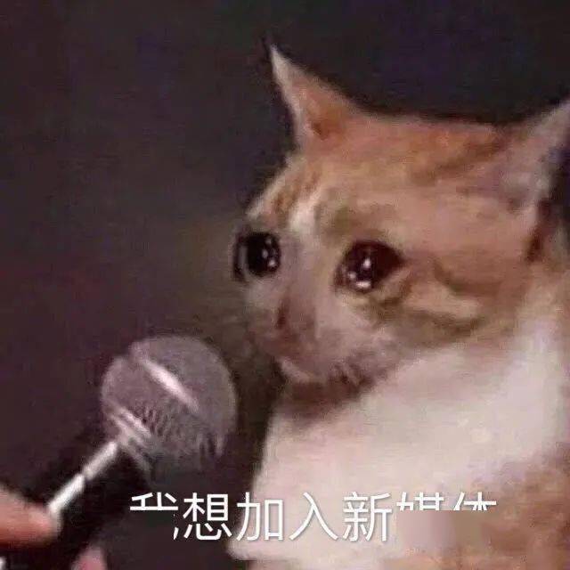 f16c6fa80035481faa0df408174c3fac.jpeg