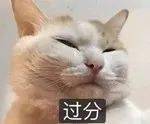 16abdf60a2d24bfd938d79793fce325c.jpeg