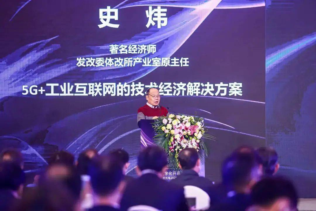 中国著名经济学家,原发改委经济体制与管理研究所产业室主任史炜作