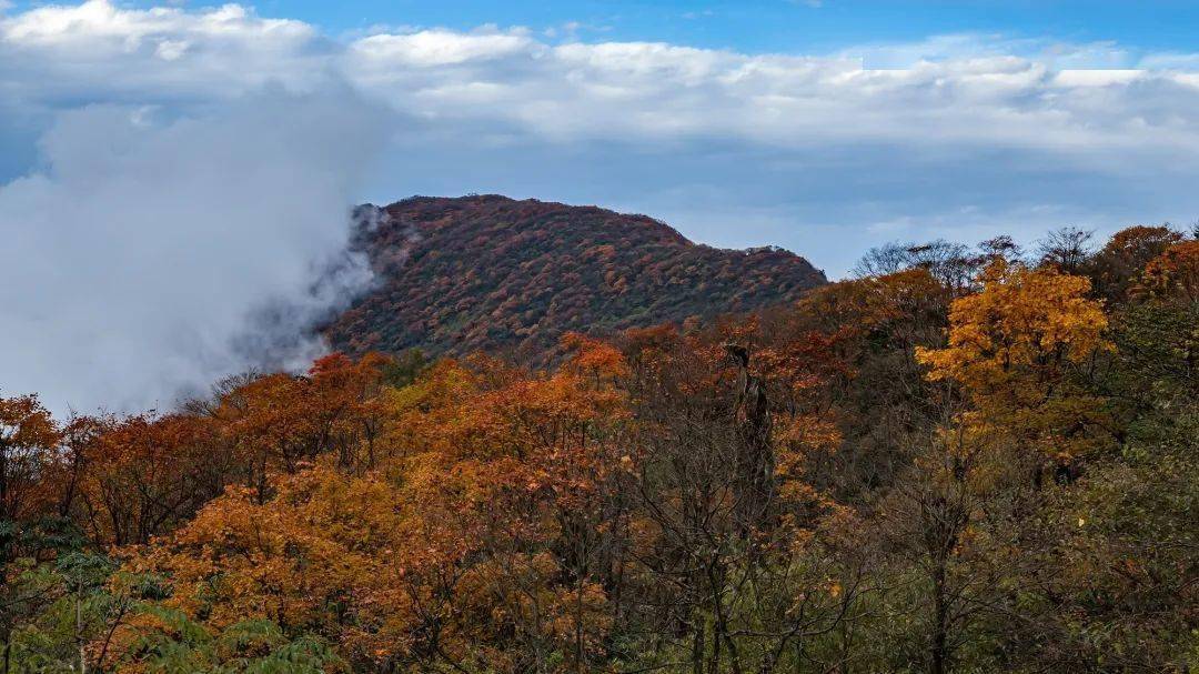 峨眉山多少人口_峨眉山要多少门票(3)