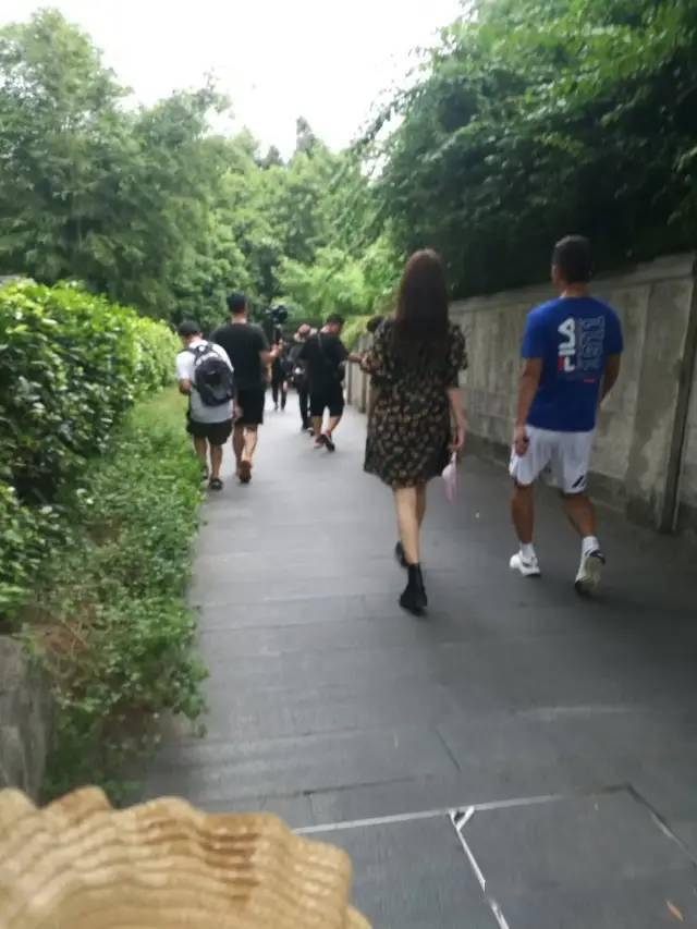 张继科|大瓜！金晨和张继科在一起了？