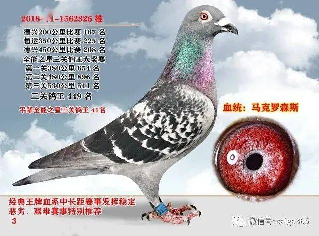 f2001e2b3fc54d3cbeed0fc27f700511.jpeg