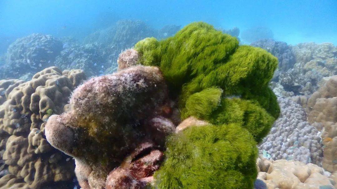 旅行|美容单品攻略之旅行篇,原来里面藏着这么多的小技能~