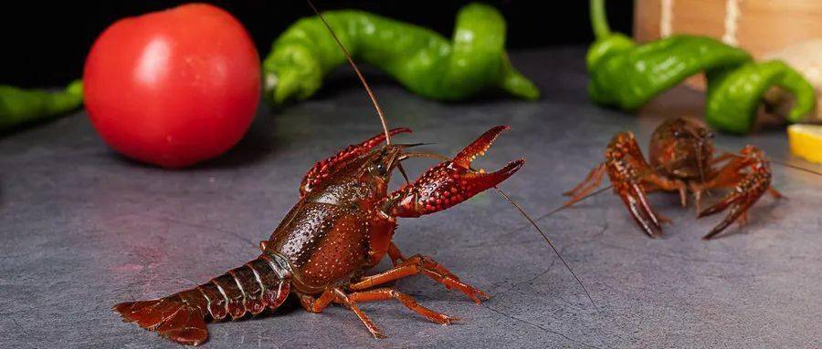 易果|倒在黎明前？中国首家生鲜平台电商破产重组，经历7轮融资，年成交额上百亿，曾预计2018年盈利……