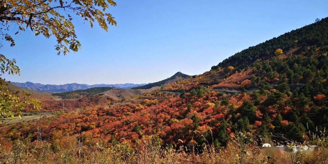 凌源市城关镇安杖子村"九头山"景区秋韵好风光