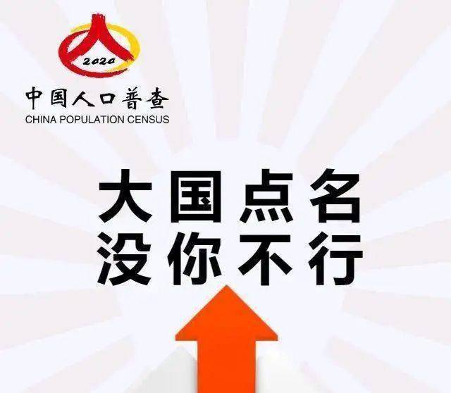 人口普查没报上名_人口普查