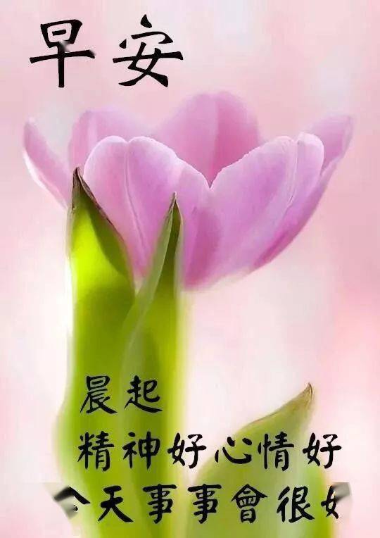 ccf52ec2e88146178285abc17a20dfdd.jpeg