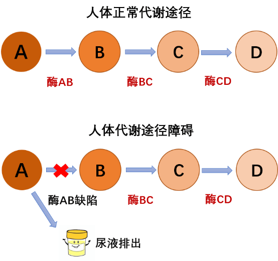 科普中国共建基地遗传代谢病之尿有机酸代谢异常