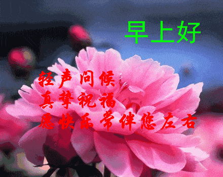 很唯美的早安图片带字,漂亮好看的鲜花早上好问候语图片
