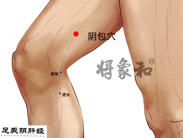 敲击方法: 1,轻敲3-5遍后,在大腿内侧的"阴包穴"会有强烈痛点,可进行