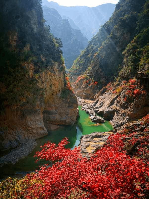 相约第三届郑国渠红叶节,一起邂逅绚烂的